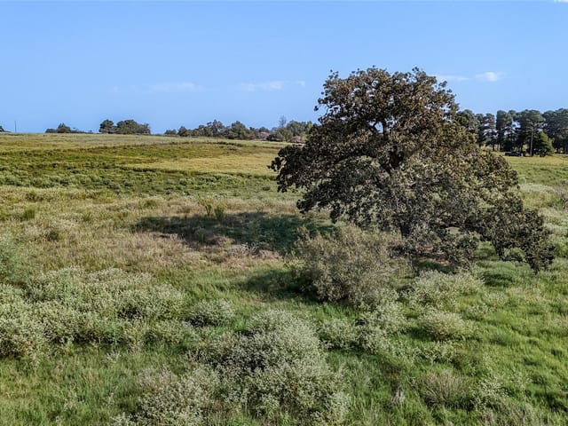TBD County Road 326 (Tract 3)