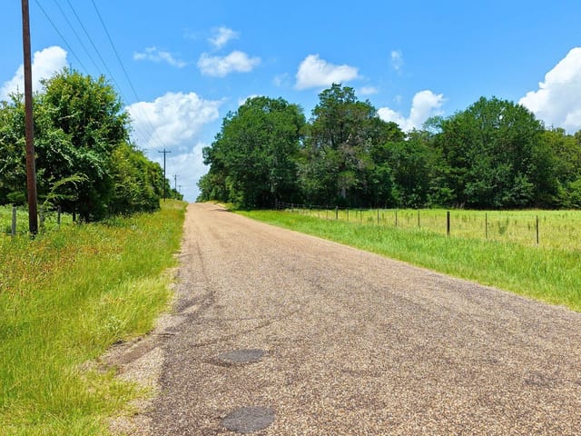 TBD County Road 378 (10 acres)