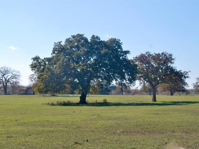 TBD County Road 405