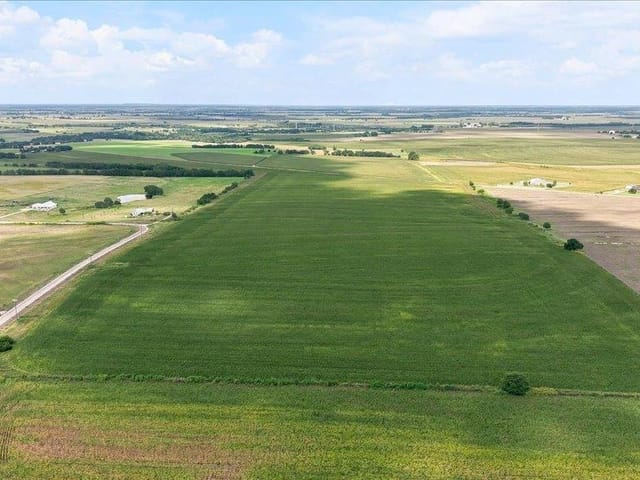 TBD CR 319