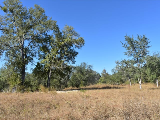 TBD Cr 481