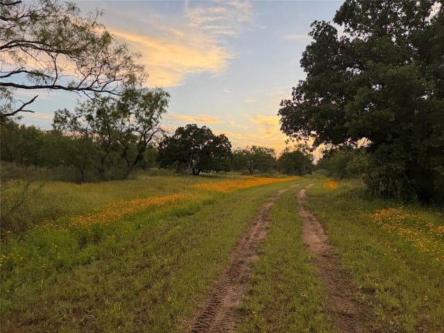 TBD FM 1980 tract 1