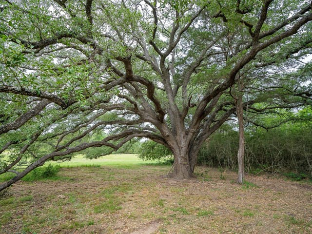 TBD FM 713 Hwy