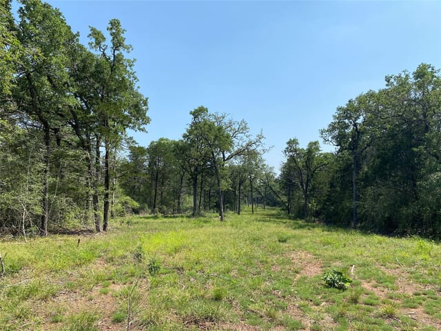 TBD High Crossing Rd - TRACT 8