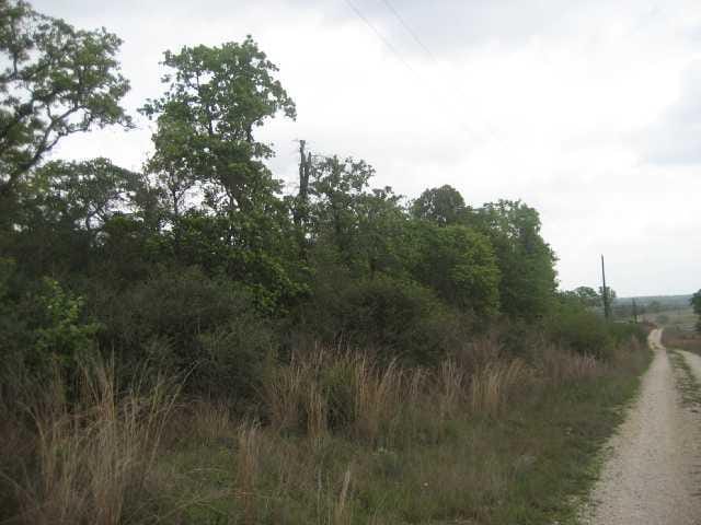 TBD Ih 10