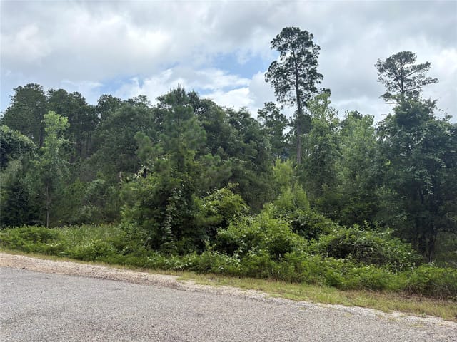 TBD Kaena LN