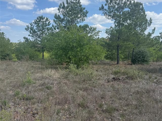 TBD Lakewood Dr