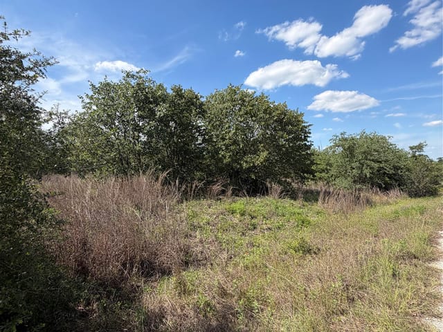 TBD Mockingbird LN