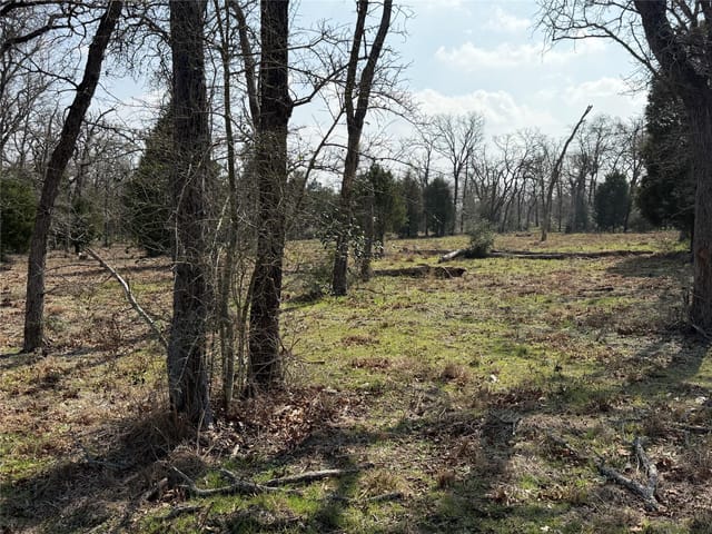 TBD N County Line RD