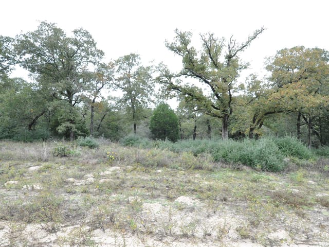 TBD OakView LN