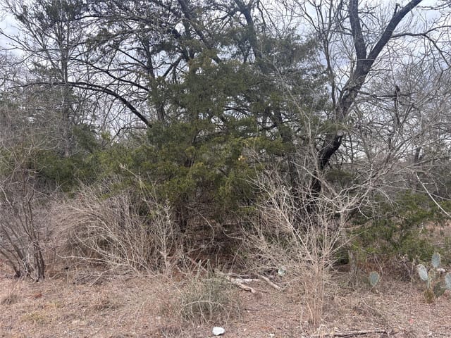 TBD Pearson Rd