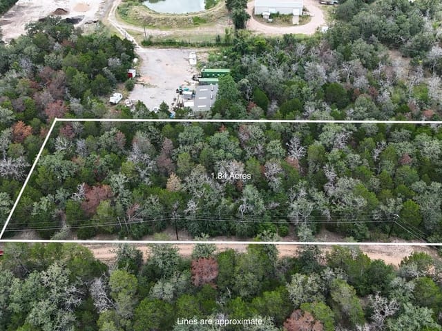 TBD Red Fox LN