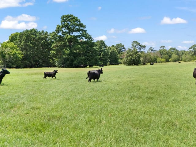 TBD St Delight (Tract 1) RD