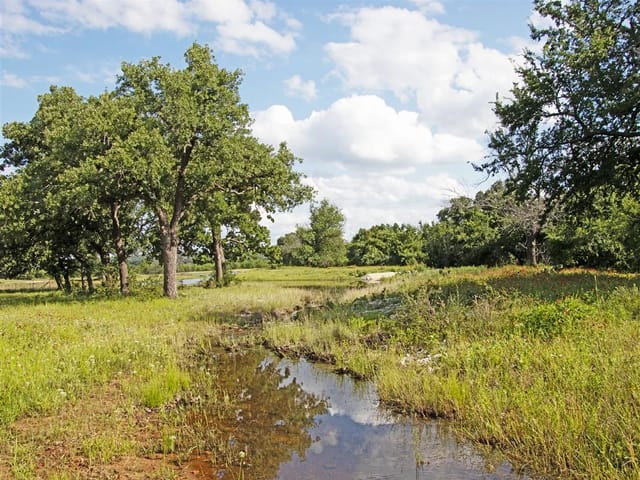 TBD W State Highway 29