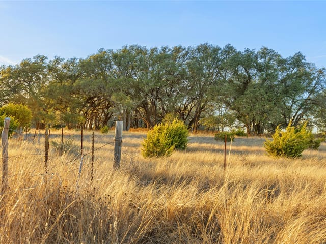 TBD Terra Rosa LN