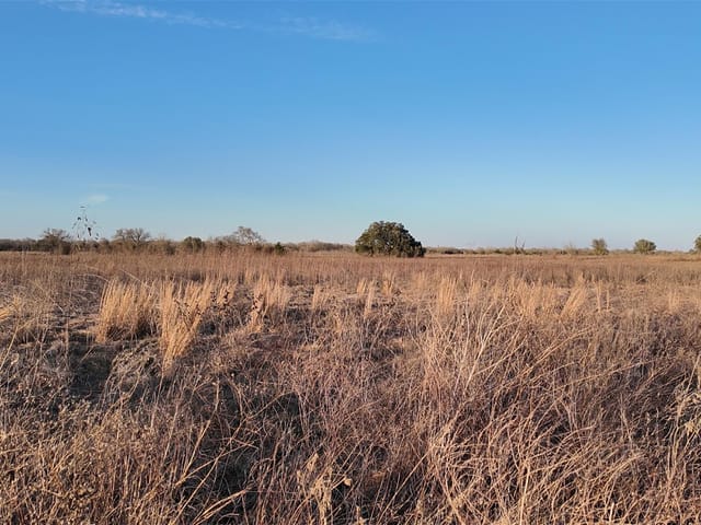 TBD (Tract 5) CR 119