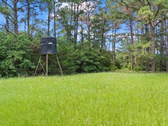 TBD (Tracts 11 & 12) St Delight RD