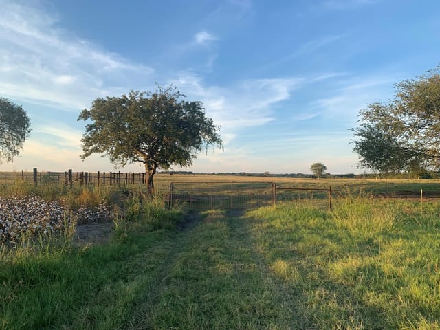 TBD2 County Road 154