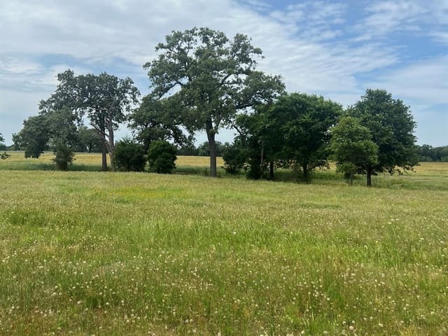 TBD2 Davis Rd