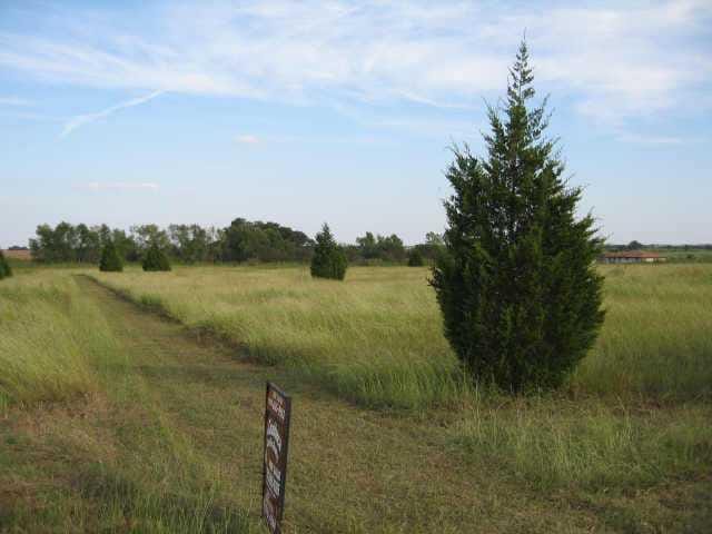 tr 22 County Road    422