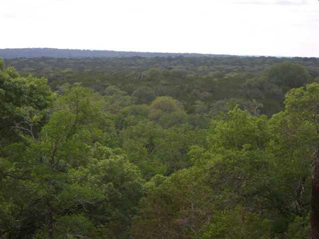Tract 1 Fischer Store RD