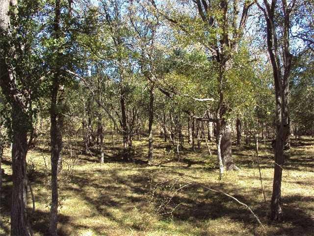 Tract 11 Hog Eye RD