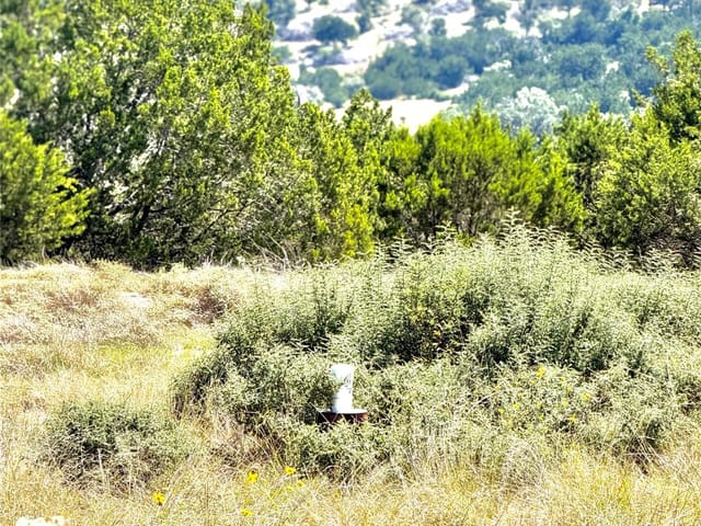 TBD Tract 19 Buckskin PATH