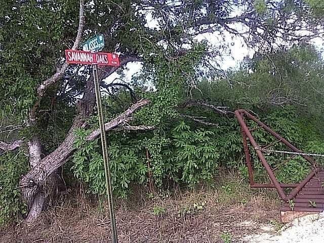 Tract 21 Savannah Oaks DR
