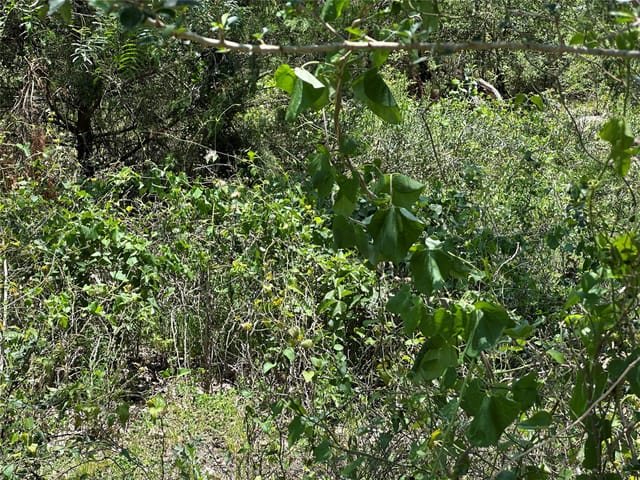 Tract 3D Hwy 95