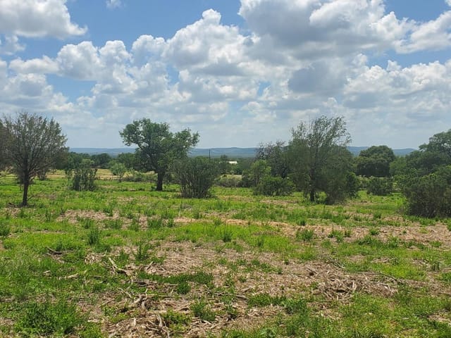 Tract 6 Lehne LOOP