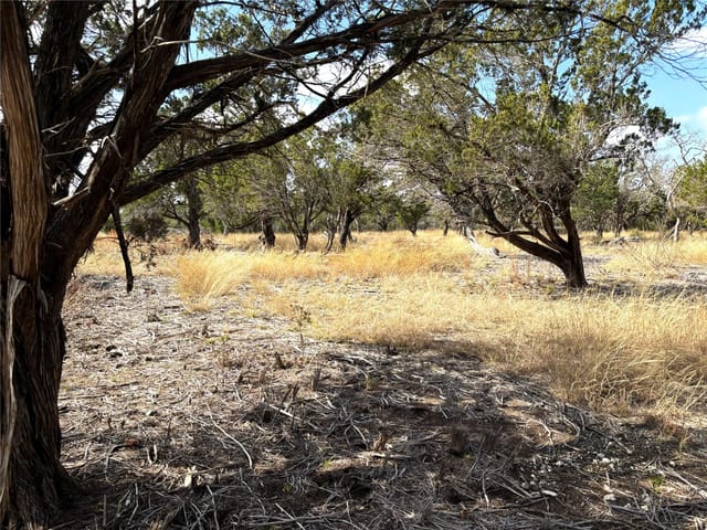 Tract 7 Burnet Oaks