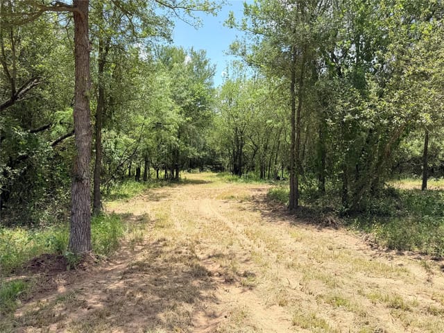 TBD Tracts - 4,5,6,7 FM 86 Highway