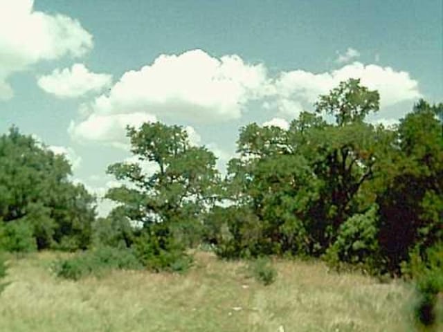 TWIN SPRINGS RD