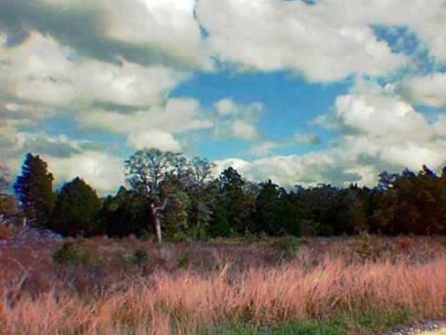 VISTA RANCH RD