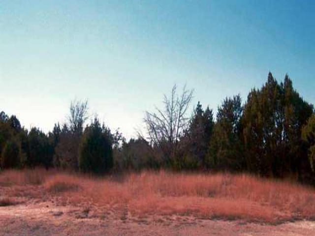 WHITETAIL DR