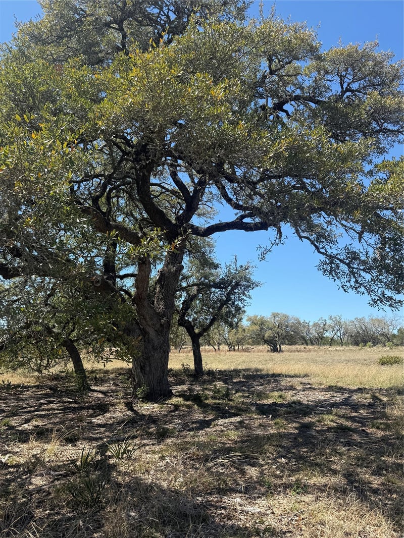 Virtual tour of 000 Barton Bend Lot 7 & Lot 6 BND
