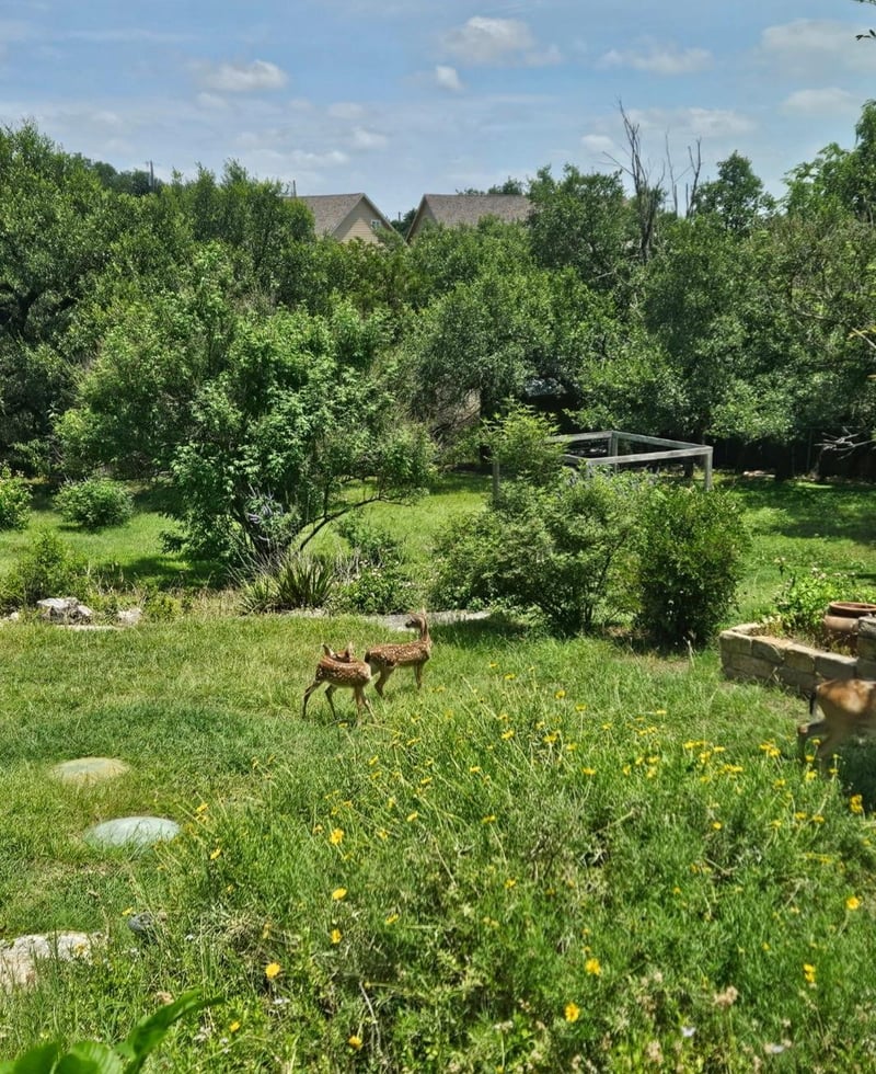 Virtual tour of 10210 Twin Lake Loop