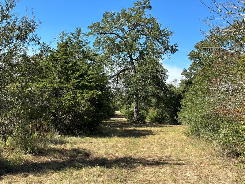 Virtual tour of 105 Colony Line TRL