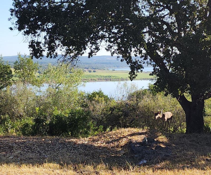 Virtual tour of 113 (Lot 3B) Hill Loop