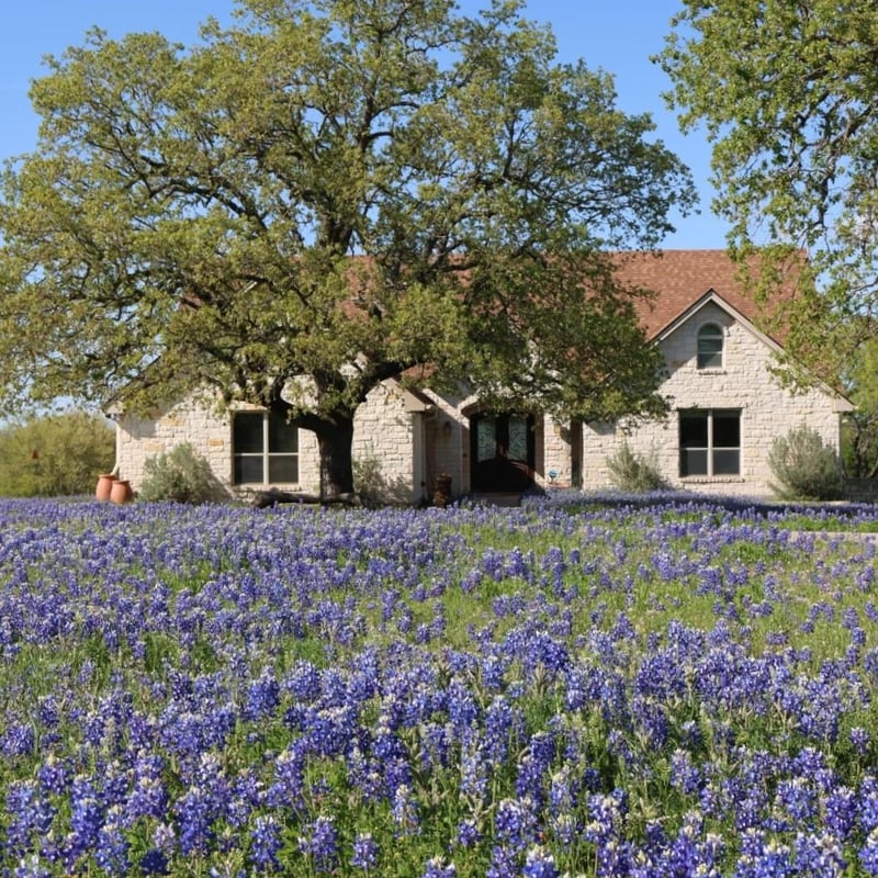 Virtual tour of 120 Oak Meadow Trl