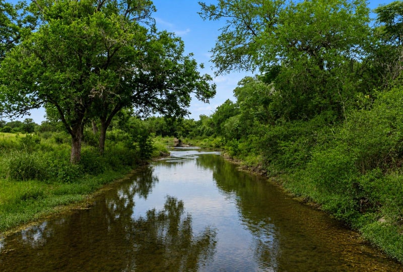 Virtual tour of 14440 Nutty Brown Rd