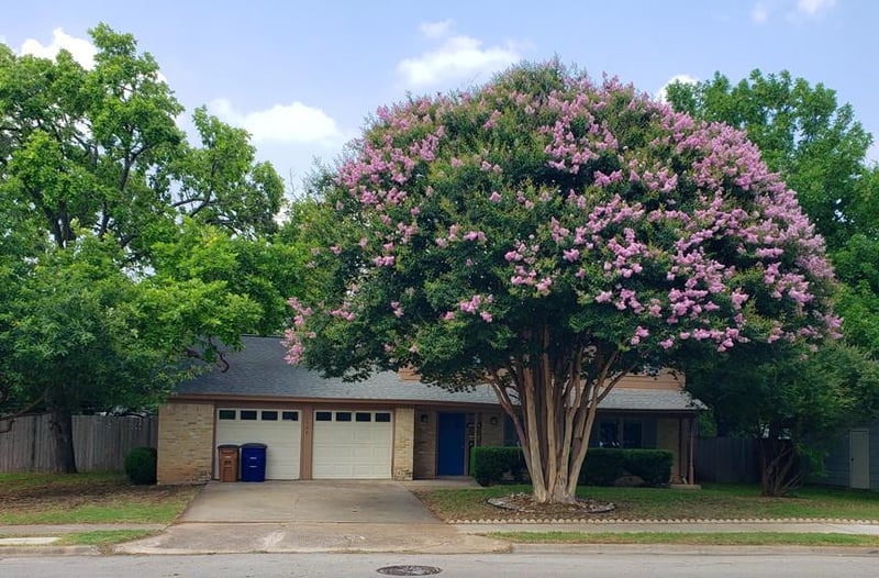 Virtual tour of 1504 Colony Creek Dr