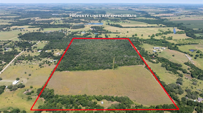 Virtual tour of 1717 County Road 402