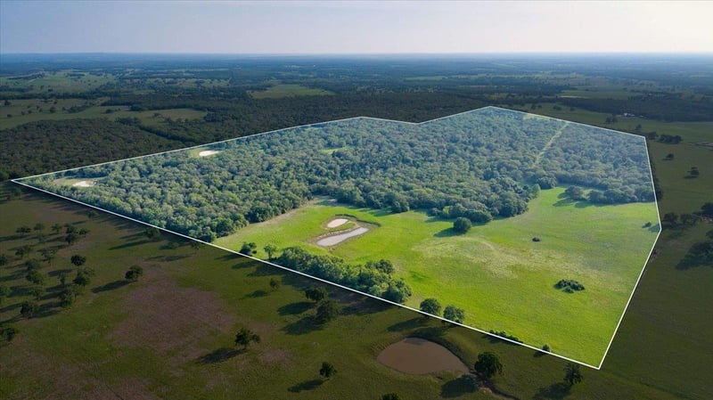 Virtual tour of 2095 County Road 442