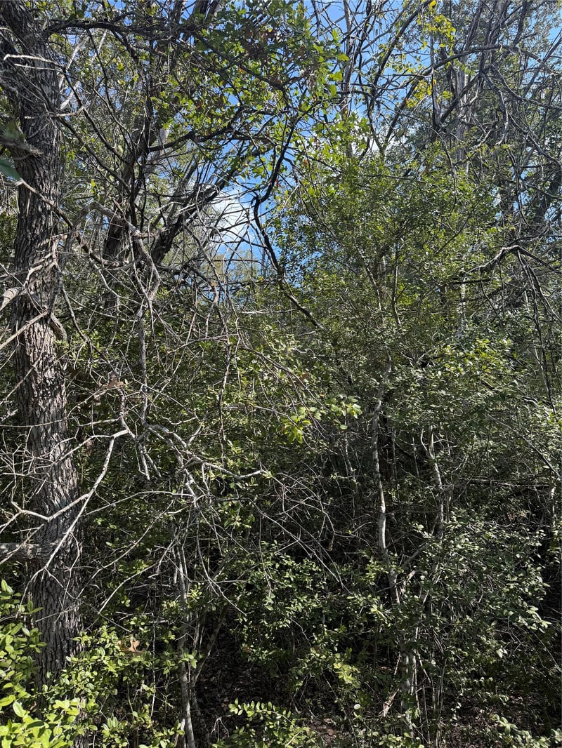 Virtual tour of 251 Iva Ln