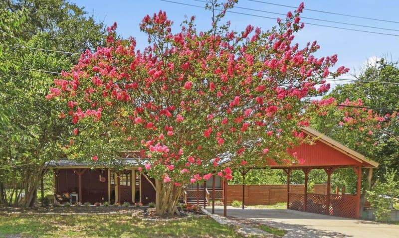 Virtual tour of 2706 Palomino DR