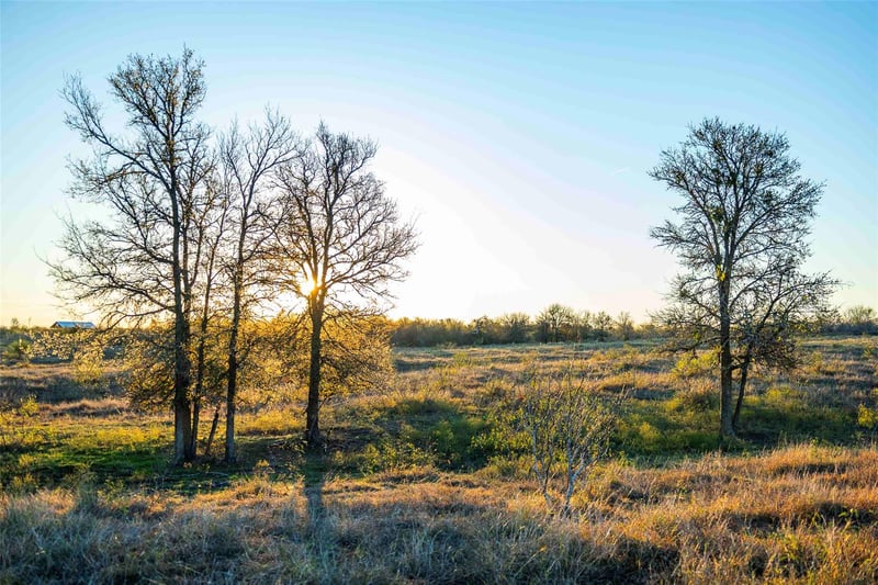 Virtual tour of 3191 County Road 463