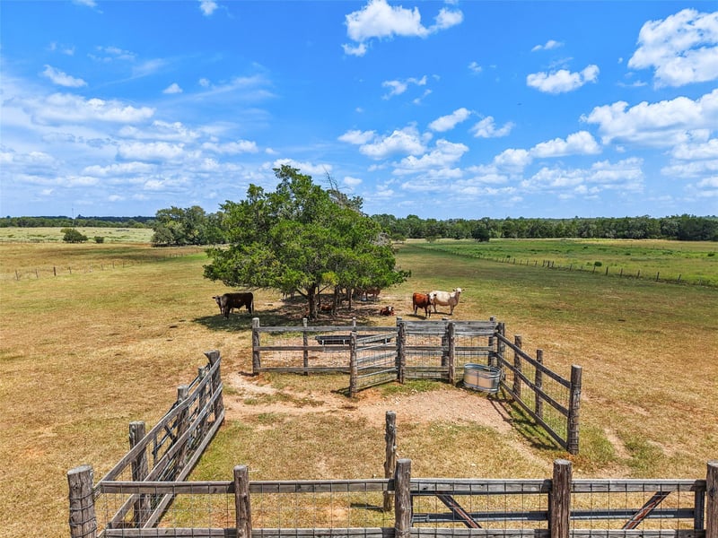Virtual tour of 372 Hofferek RD