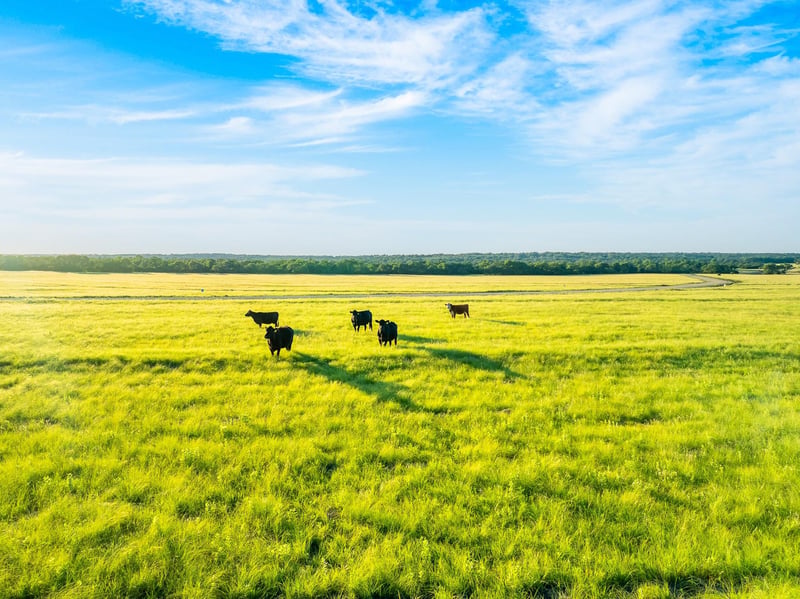 Virtual tour of 7 Feild Ranch RD