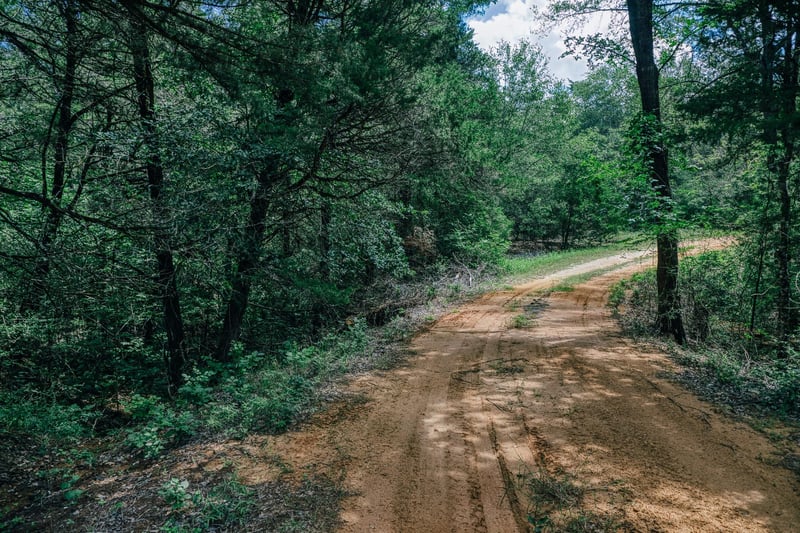 Virtual tour of 9713 County Road 316
